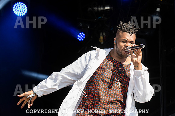 HOB_6279 copy
