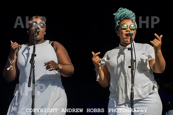 HOB_6309 copy