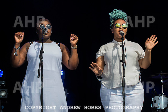 HOB_6312 copy