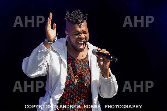 HOB_6315 copy