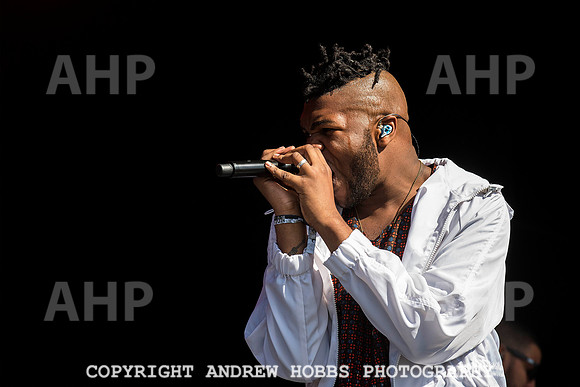 HOB_6359 copy