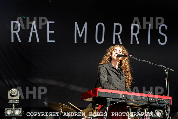 HOB_6463 copy