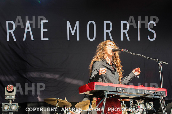 HOB_6466 copy