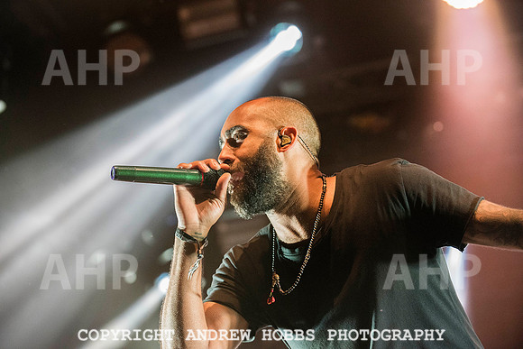 HOB_7491 copy