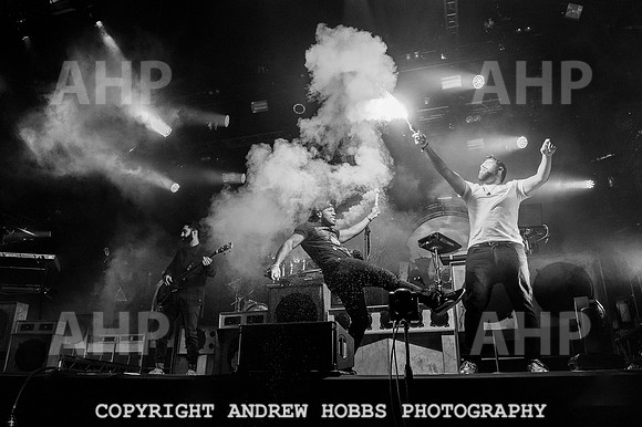 AHP_9488 copy
