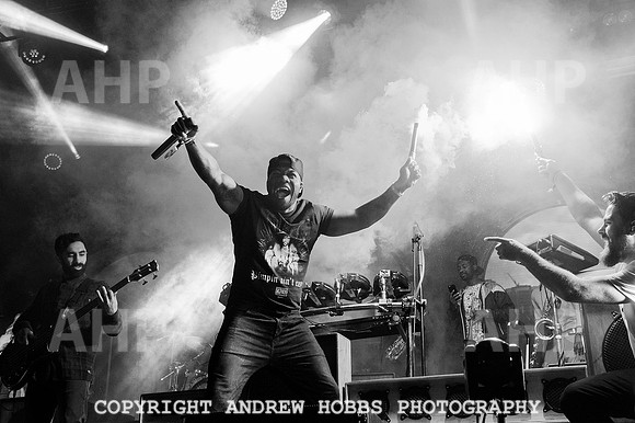 AHP_9493 copy
