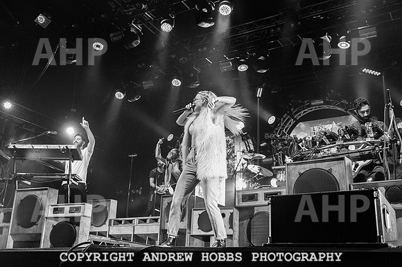 AHP_9519 copy
