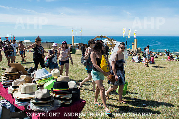AHP_9287 copy