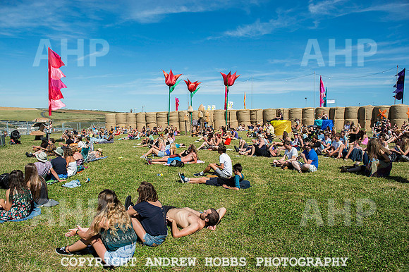 AHP_9306 copy