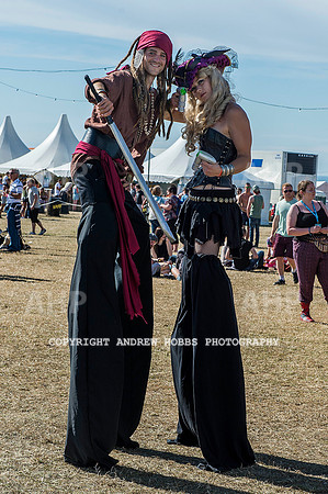 AHP_9333 copy