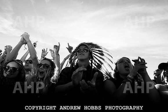 AHP_9365 copy