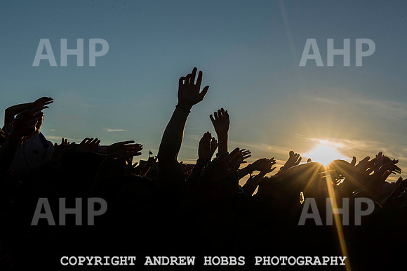 AHP_9417 copy