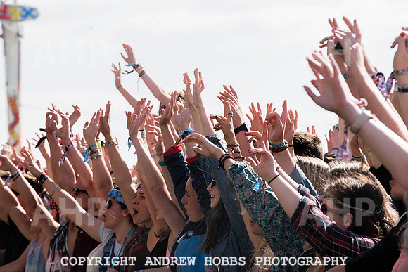 HOB_5098 copy
