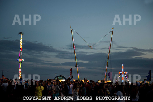 AHP_9121 copy