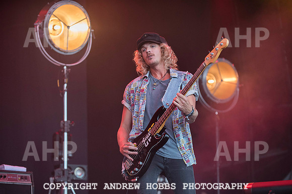 HOB_8015 copy