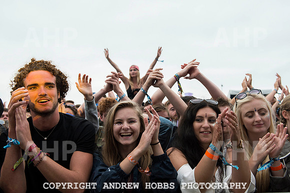 AHP_0008 copy