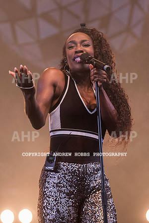 HOB_8420 copy
