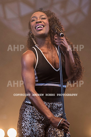 HOB_8424 copy