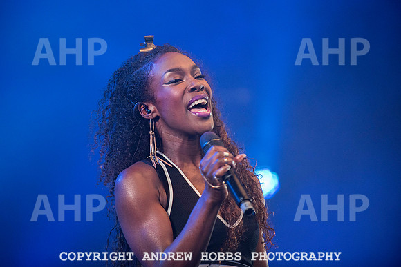 HOB_8490 copy
