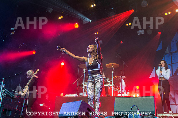 AHP_0027 copy