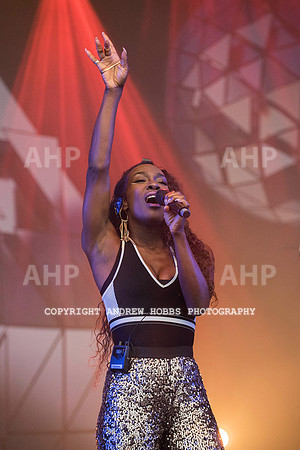 HOB_8159 copy