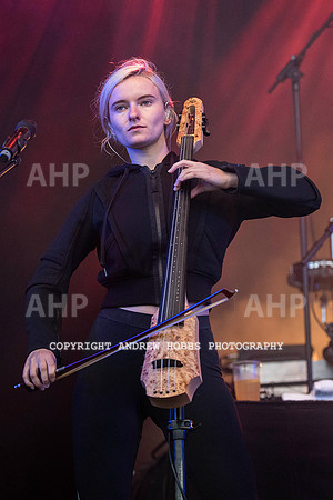 HOB_8166 copy