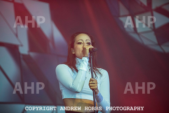 HOB_8183 copy
