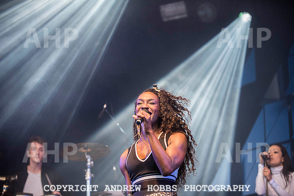 HOB_8208 copy