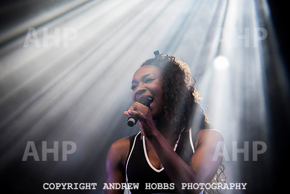 HOB_8242 copy
