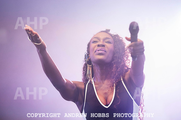 HOB_8243 copy