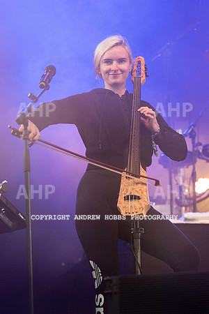 HOB_8380 copy