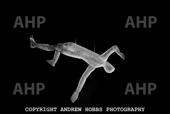 HOB_8566 copy