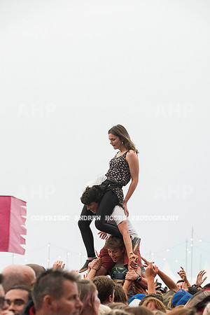 HOB_8135 copy