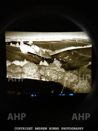 Thermal Imaging Badger Cull 2014 007