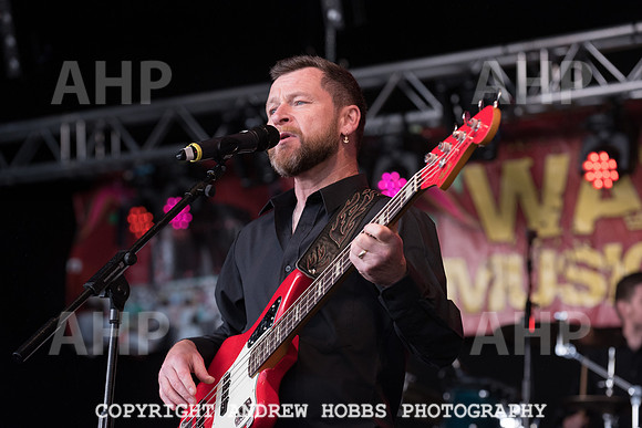 Watchet Festival 2015-1764