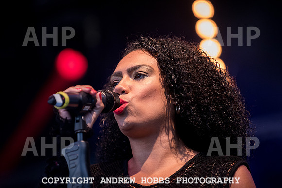 Watchet Festival 2015-1805
