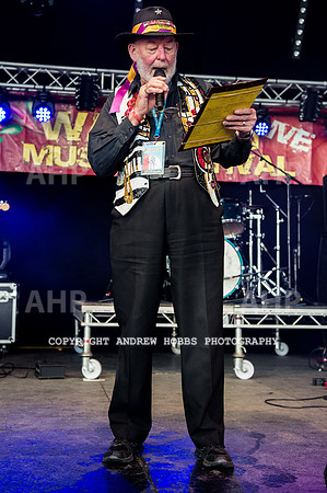 Watchet Festival 2015-5598