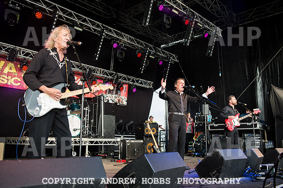 Watchet Festival 2015-5607