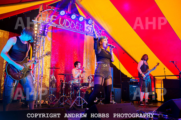 Watchet Festival 2015-5616