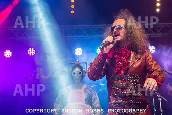 Watchet Festival 2015-5655