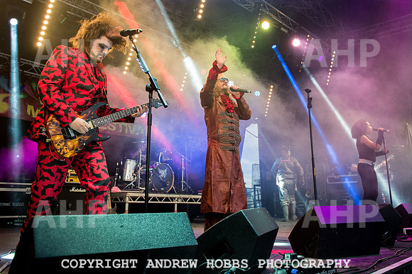 Watchet Festival 2015-5681