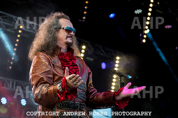 Watchet Festival 2015-5691