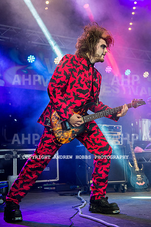 Watchet Festival 2015-5697