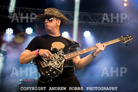 Watchet Festival 2015-5715