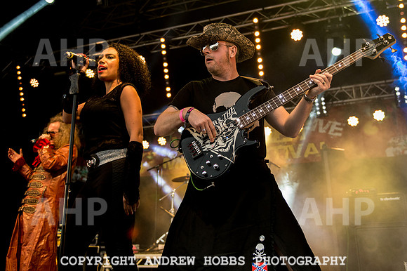 Watchet Festival 2015-5720