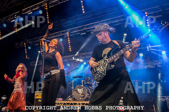 Watchet Festival 2015-5726