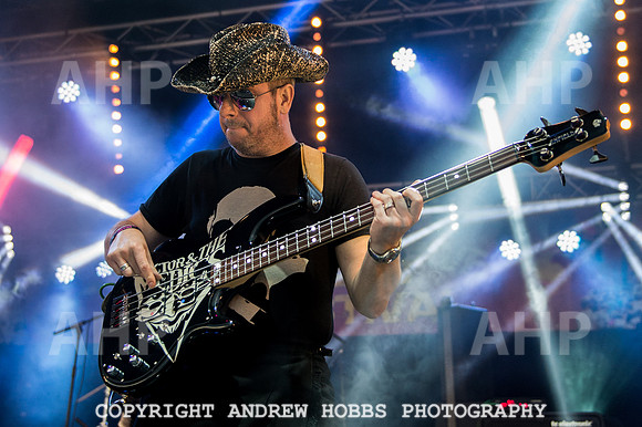 Watchet Festival 2015-5737