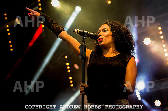 Watchet Festival 2015-5741