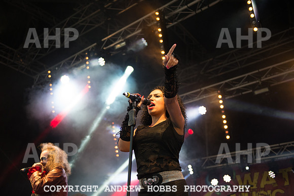 Watchet Festival 2015-5743