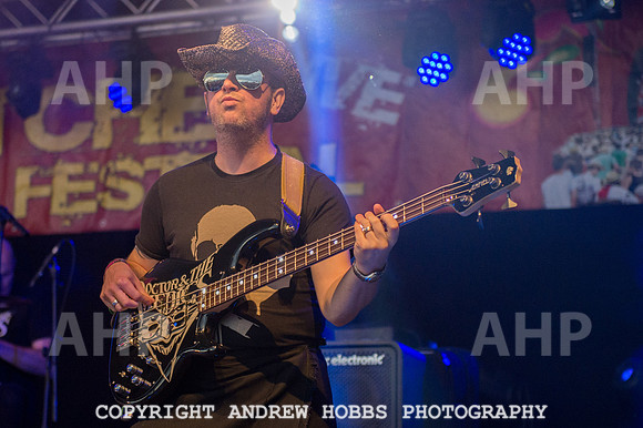 Watchet Festival 2015-5756